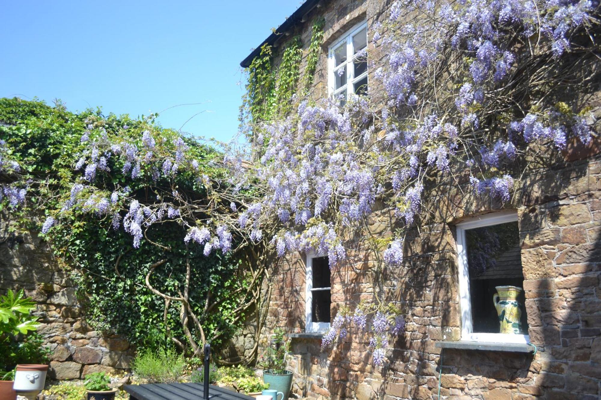 Vila The Old Police Station Hatherleigh Exteriér fotografie